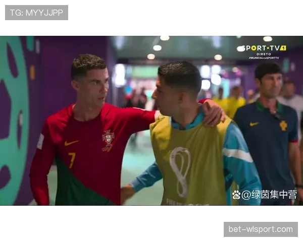 世界杯葡萄牙与乌拉圭阵容竞争力对比